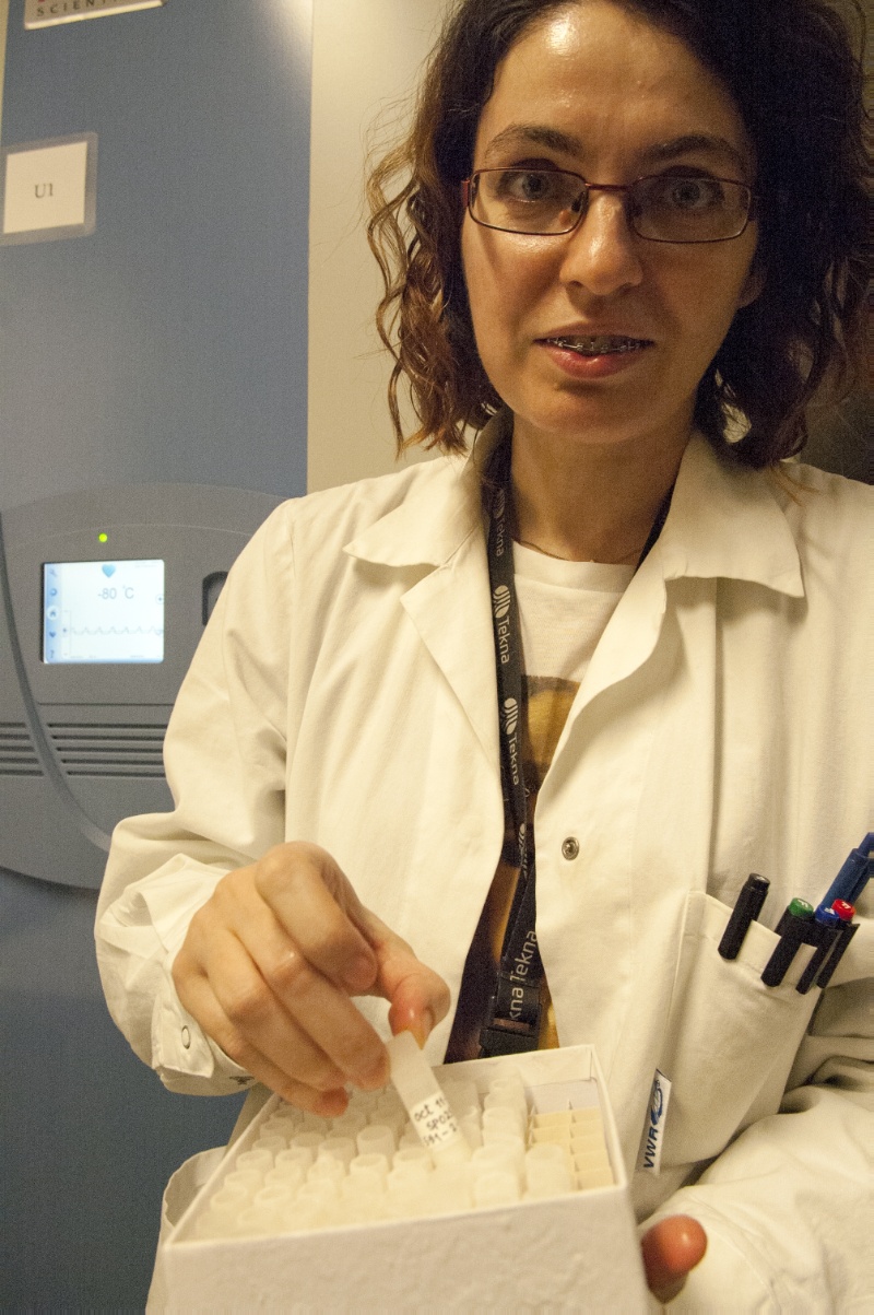 Seila med bakterie.jpg Avdelingsingeniør Seila Pandur med bakterier som er hentet opp fra Polhavet.